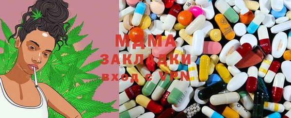 прущие грибы Белокуриха