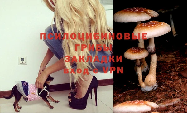 гидропоника Белоозёрский