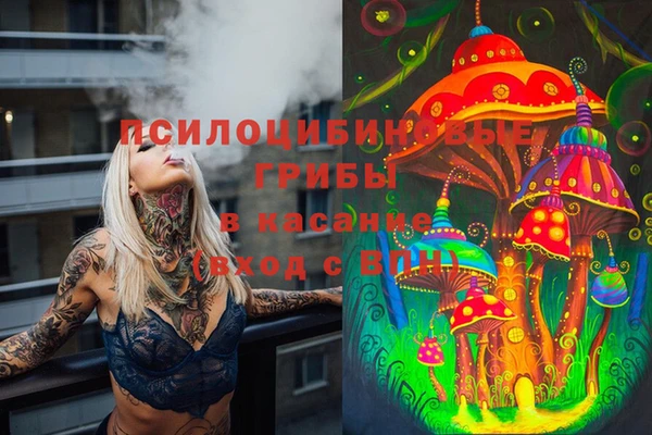 а пвп мука Балабаново