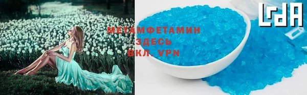 прущие грибы Белокуриха
