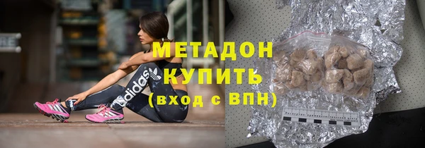 прущие грибы Белокуриха