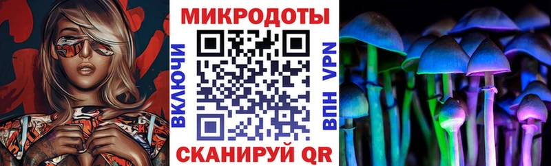 Галлюциногенные грибы Psilocybine cubensis  закладки  Семикаракорск 