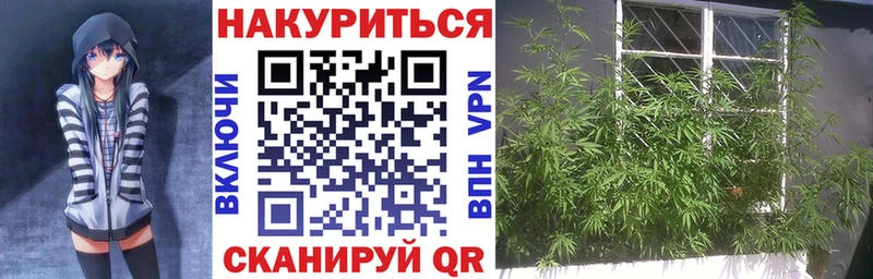 Бошки марихуана марихуана  Семикаракорск 